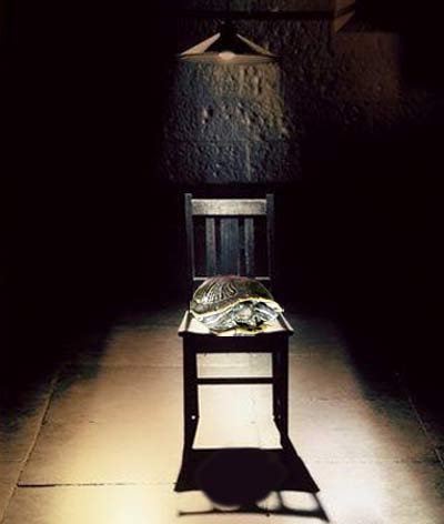 One tough shell to crack