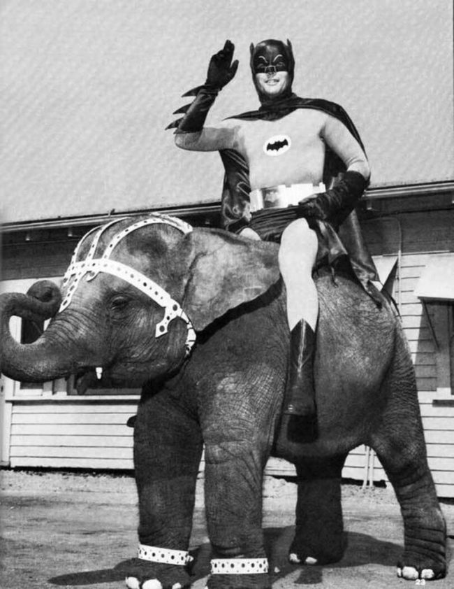 Batman rides elephant