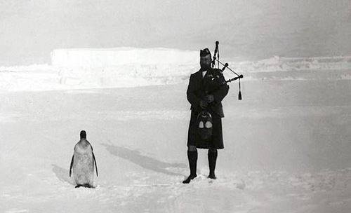 Serenading Penguins with Bagpipes