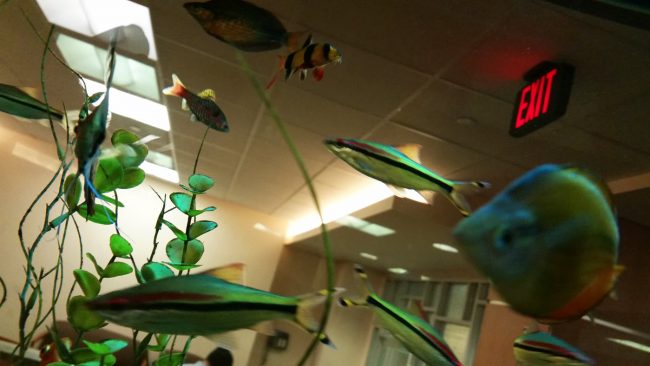 Fish tank with exit sign - MD Anderson