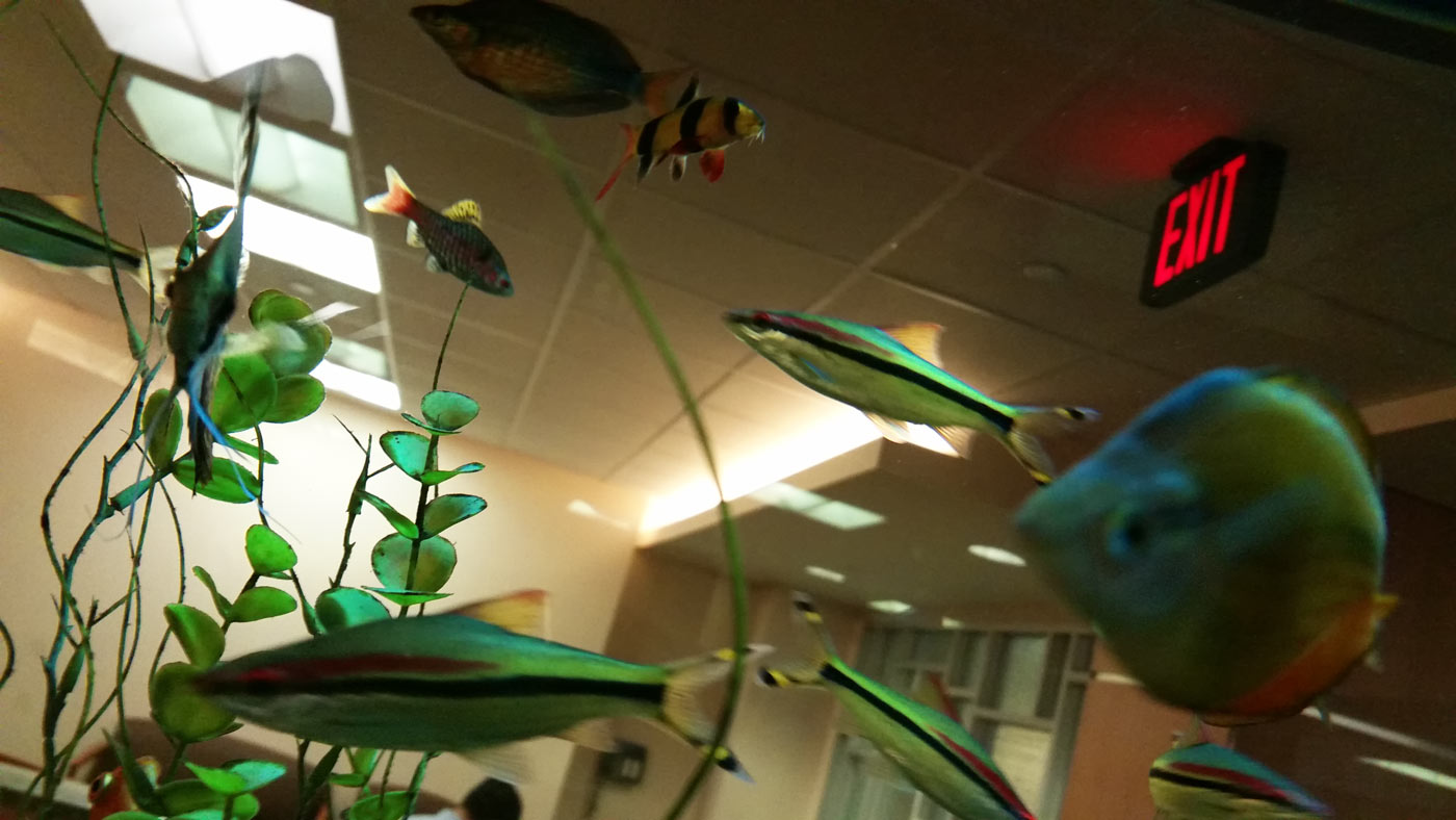 Fish tank with exit sign - MD Anderson
