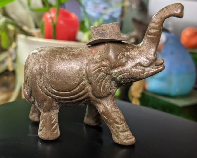 elephant