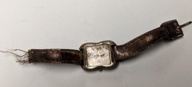 Barbie® Poodle Parade® Watch