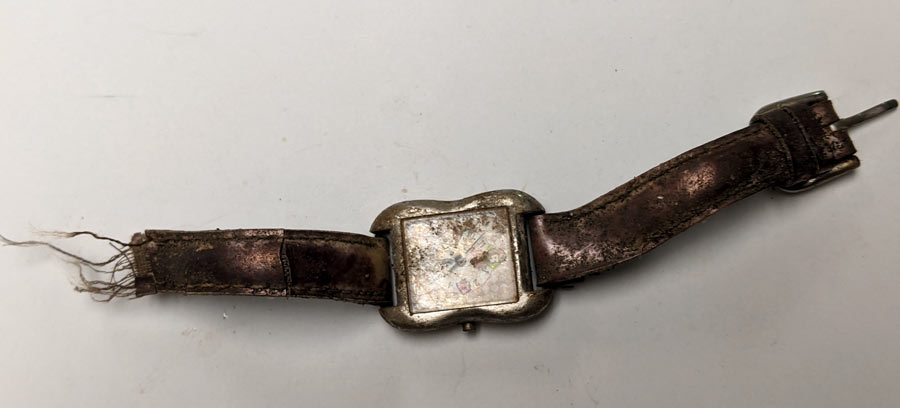 Barbie® Poodle Parade® Watch